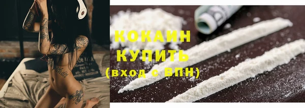 дживик Абаза