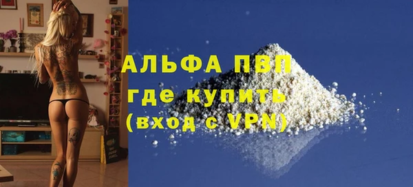 дживик Абаза