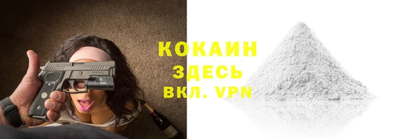 дживик Абаза