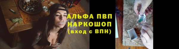 дживик Абаза