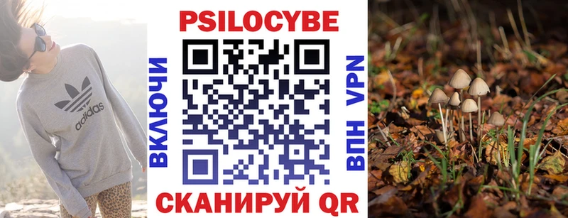 Псилоцибиновые грибы Cubensis  Уржум 